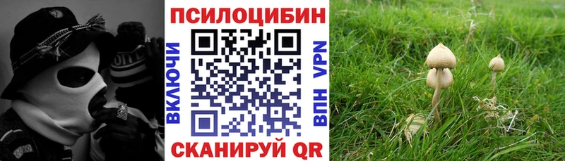 Псилоцибиновые грибы прущие грибы  Игра 